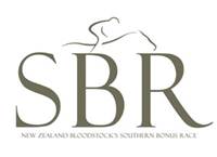 SBR Logo